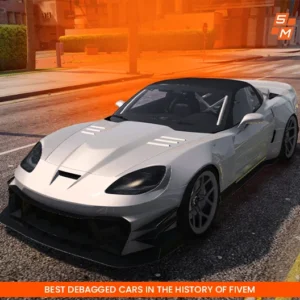 2009 Chevrolet Corvette C6 (Debaged)
